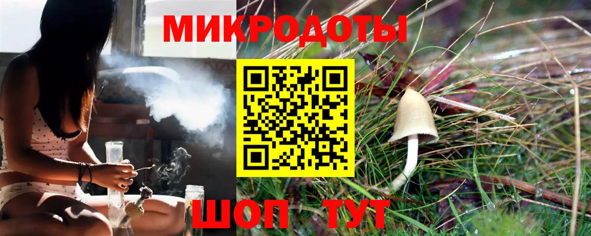 Псилоцибиновые грибы прущие грибы Долгопрудный